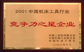 2001競爭力之星.jpg